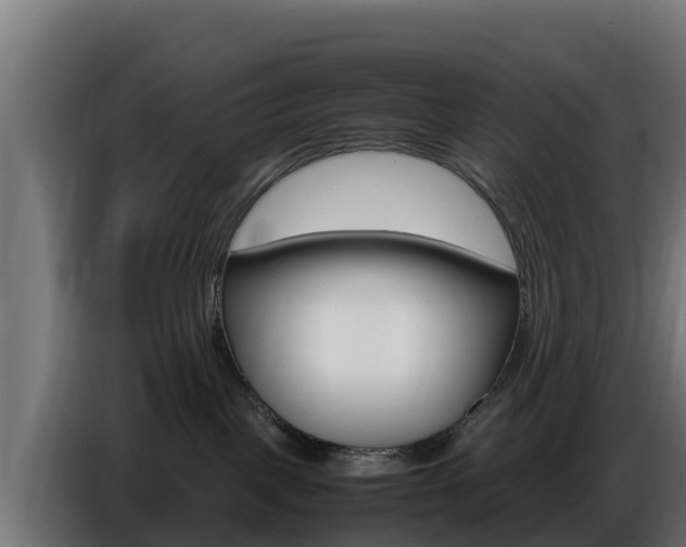 X0000086770093200704130846