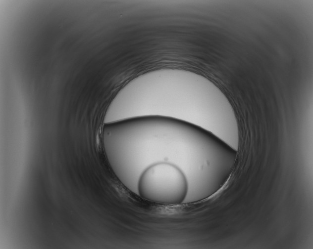 X0000086770094200704130846