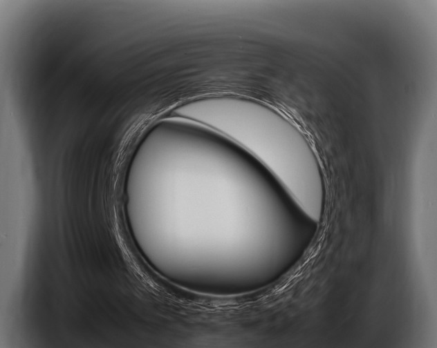 X0000086770097200704130845