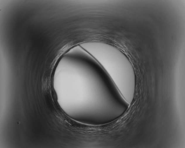 X0000086770099200704130845