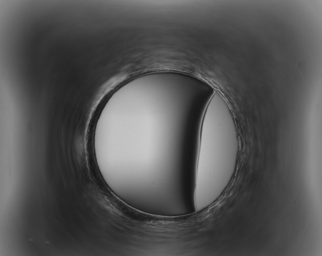 X0000086770104200704130845