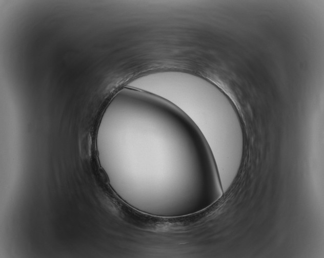X0000086770109200704130845