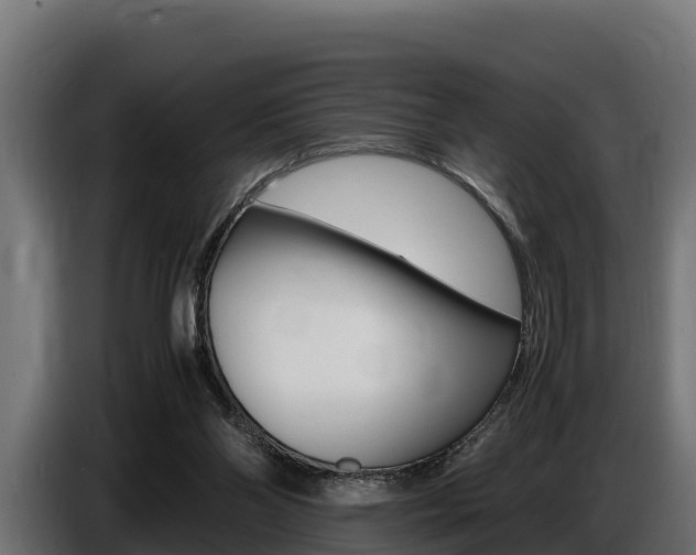 X0000086770110200704130845