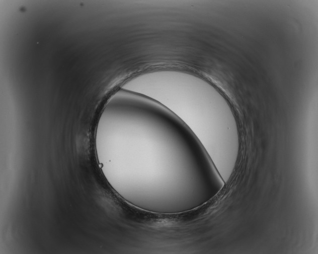 X0000086770111200704130845