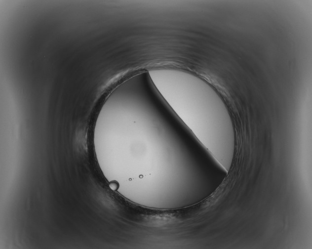 X0000086770112200704130845