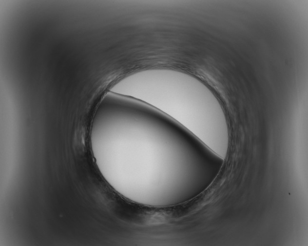 X0000086770115200704130845