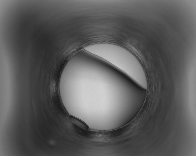 X0000086770117200704130845