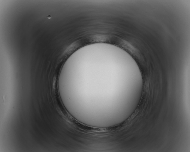 X0000086770118200704130845