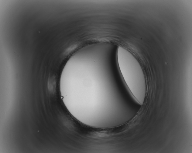 X0000086770120200704130845