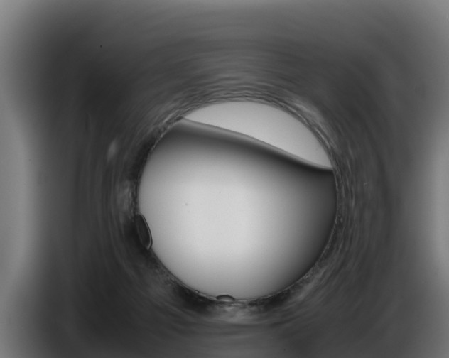 X0000086770121200704130845
