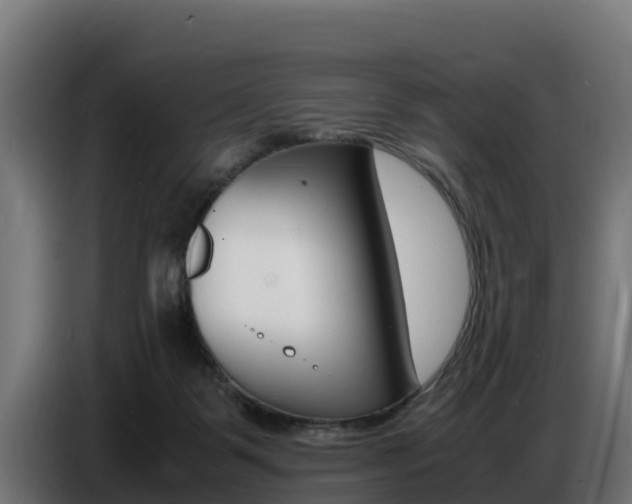 X0000086770123200704130845