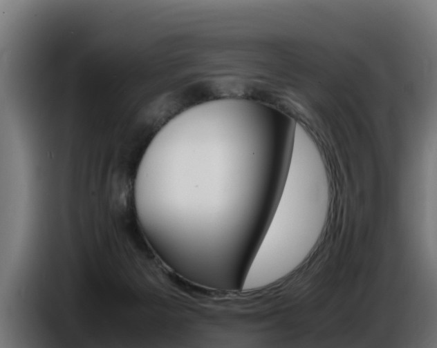 X0000086770125200704130845