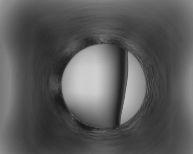 X0000086770129200704130845