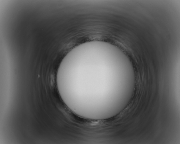 X0000086770130200704130845