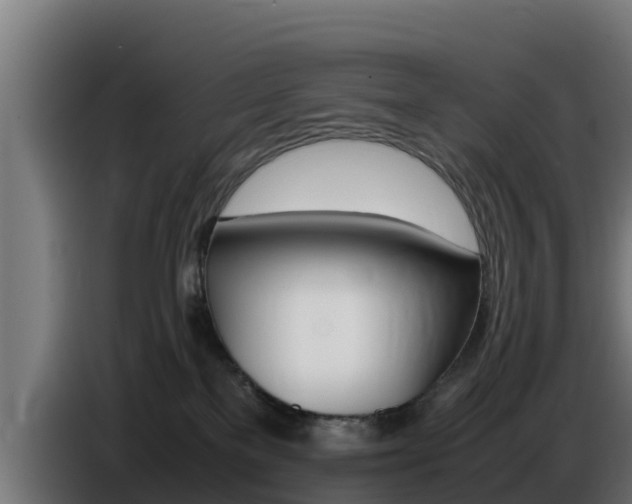 X0000086770137200704130845