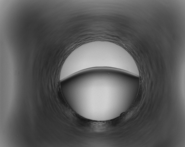 X0000086770139200704130845