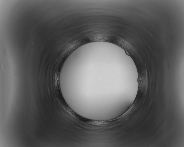 X0000086770142200704130845