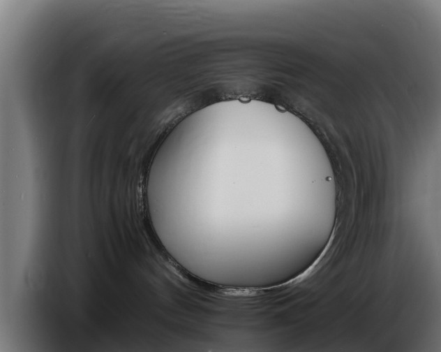 X0000086770144200704130845
