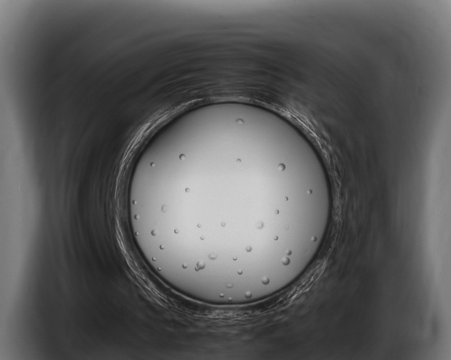 X0000086770145200704130844