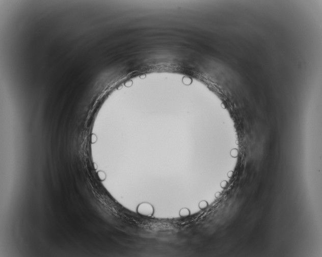 X0000086770146200704130844