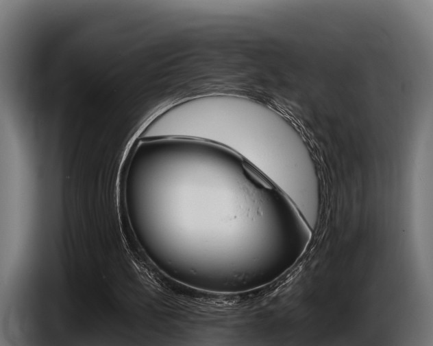 X0000086770148200704130844
