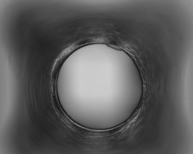 X0000086770149200704130844
