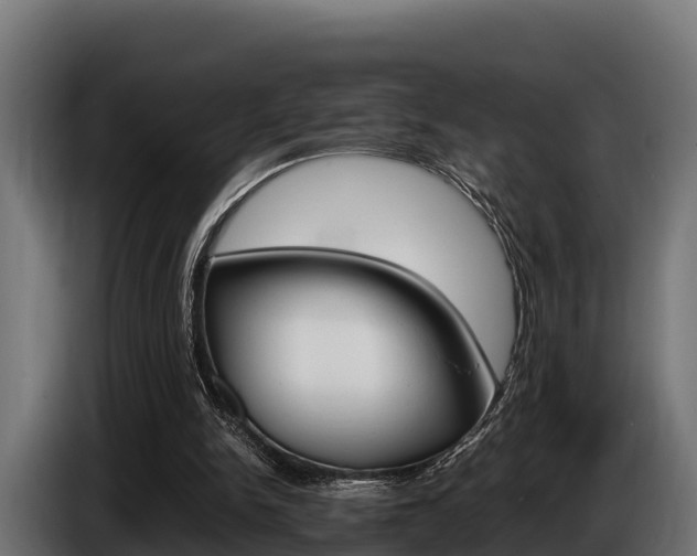 X0000086770150200704130844
