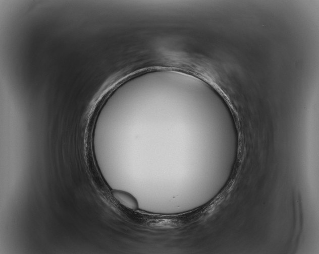 X0000086770151200704130844