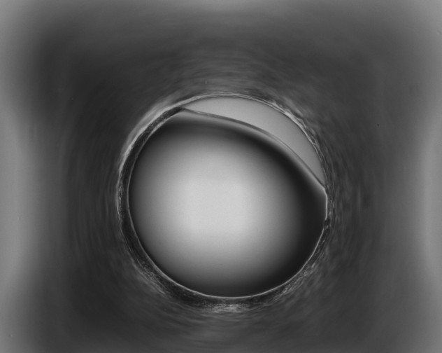 X0000086770152200704130844