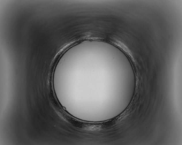 X0000086770155200704130844