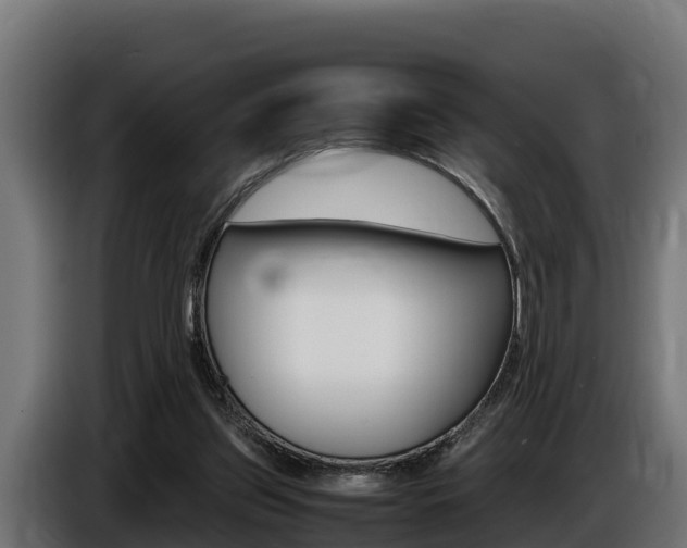 X0000086770157200704130844