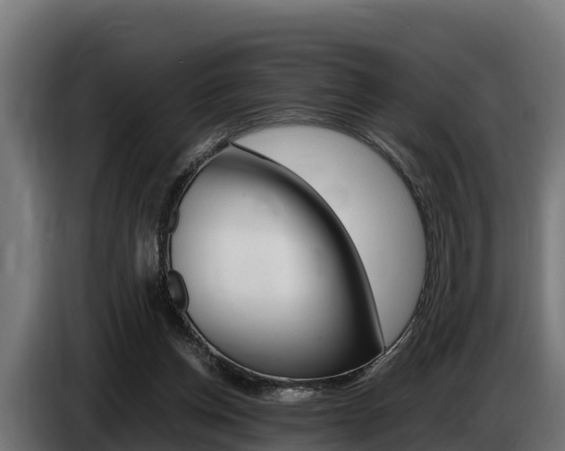 X0000086770158200704130844