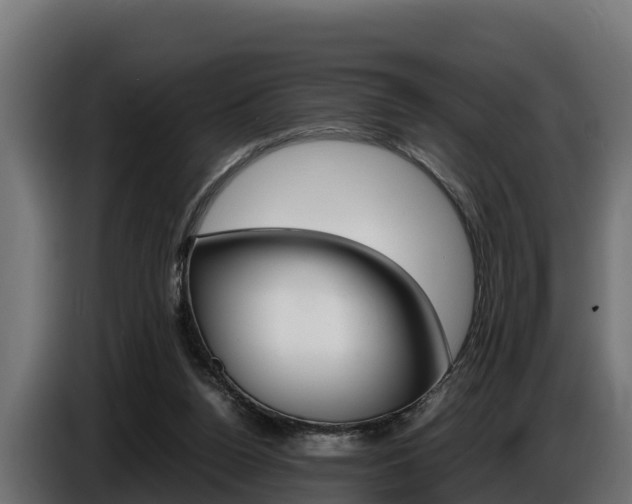 X0000086770160200704130844