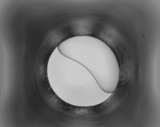 X0000086770162200704130844