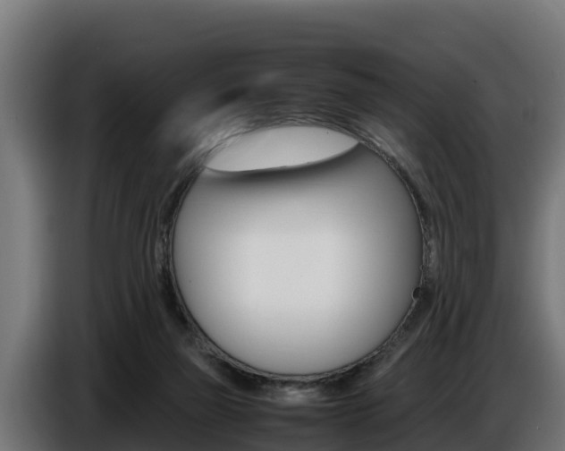X0000086770165200704130844