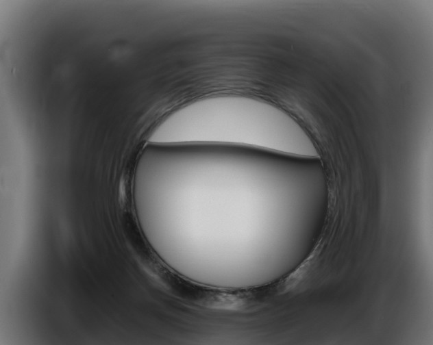 X0000086770166200704130844