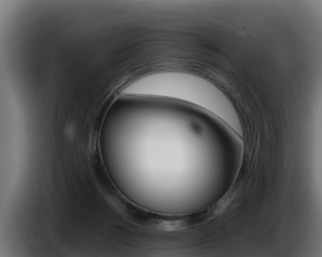 X0000086770168200704130844