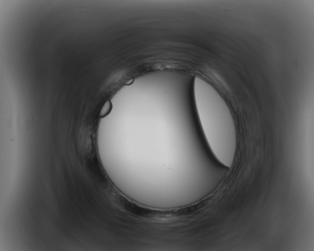 X0000086770169200704130844