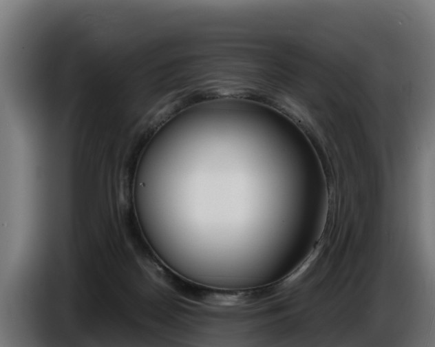 X0000086770170200704130844