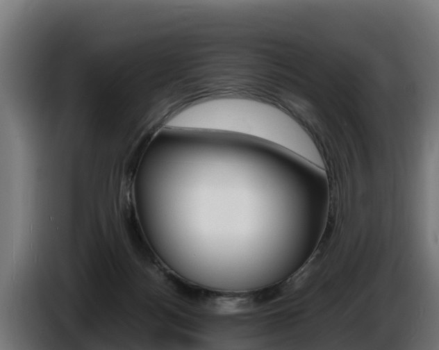 X0000086770172200704130844