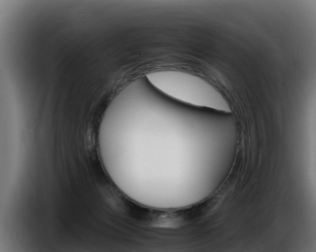 X0000086770173200704130844