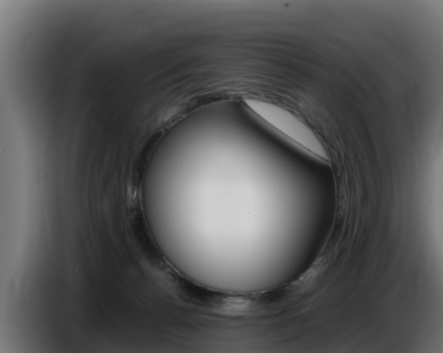 X0000086770176200704130844