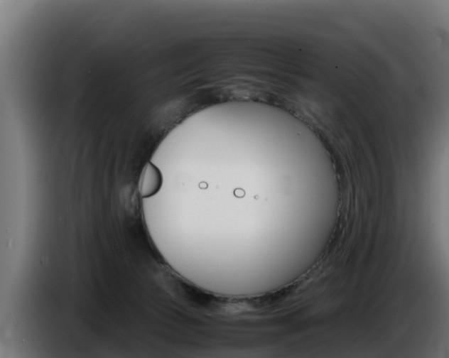 X0000086770177200704130844