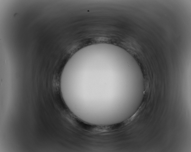 X0000086770179200704130844