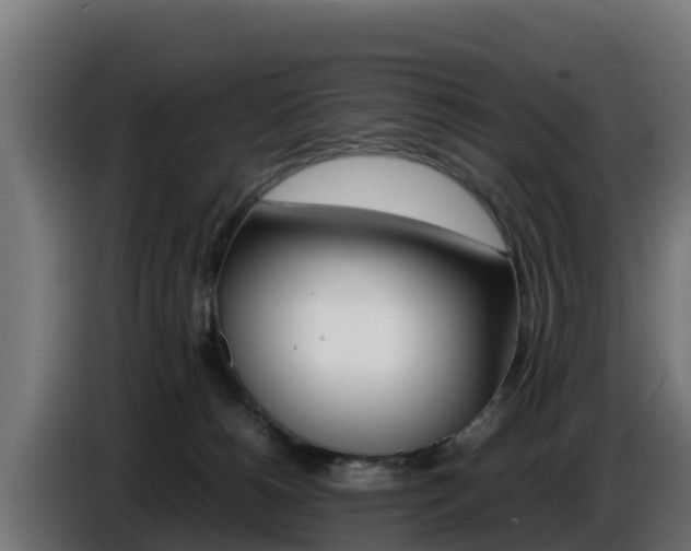 X0000086770180200704130844