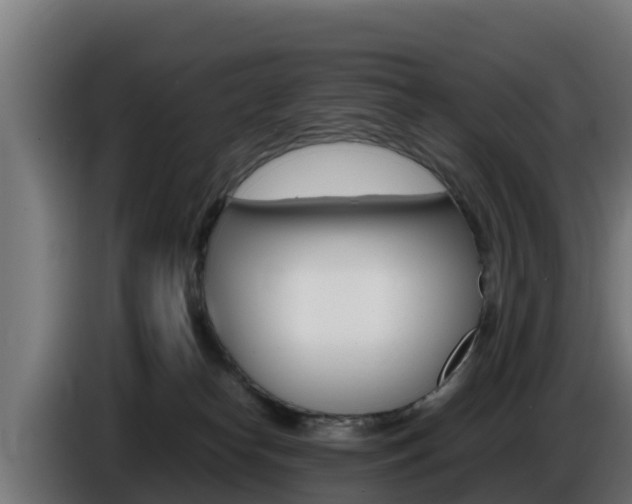 X0000086770182200704130844