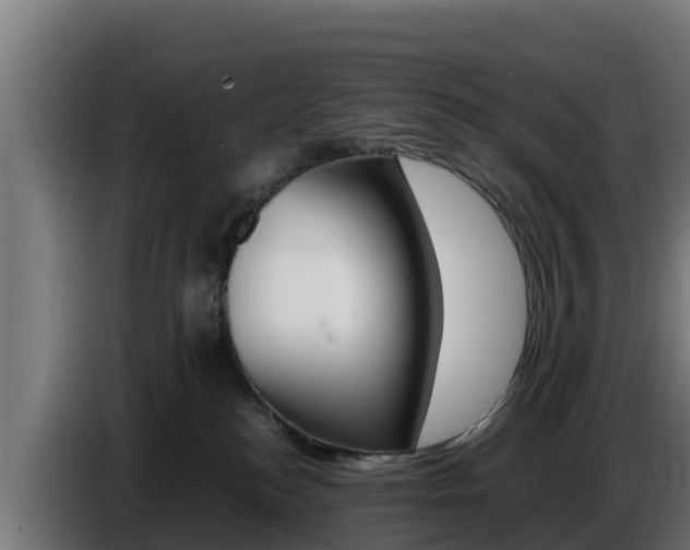X0000086770184200704130844