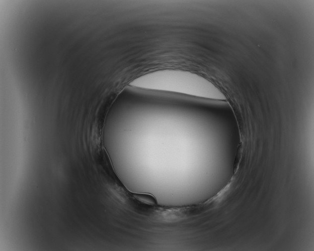 X0000086770186200704130844
