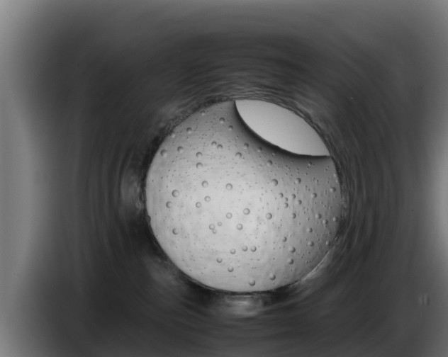 X0000086770187200704130844