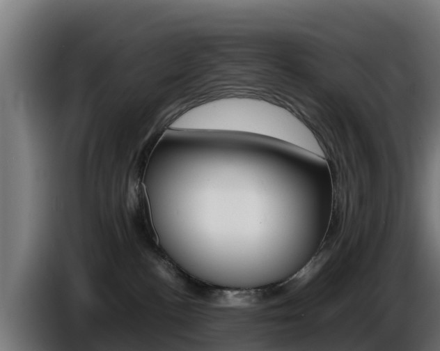 X0000086770188200704130844